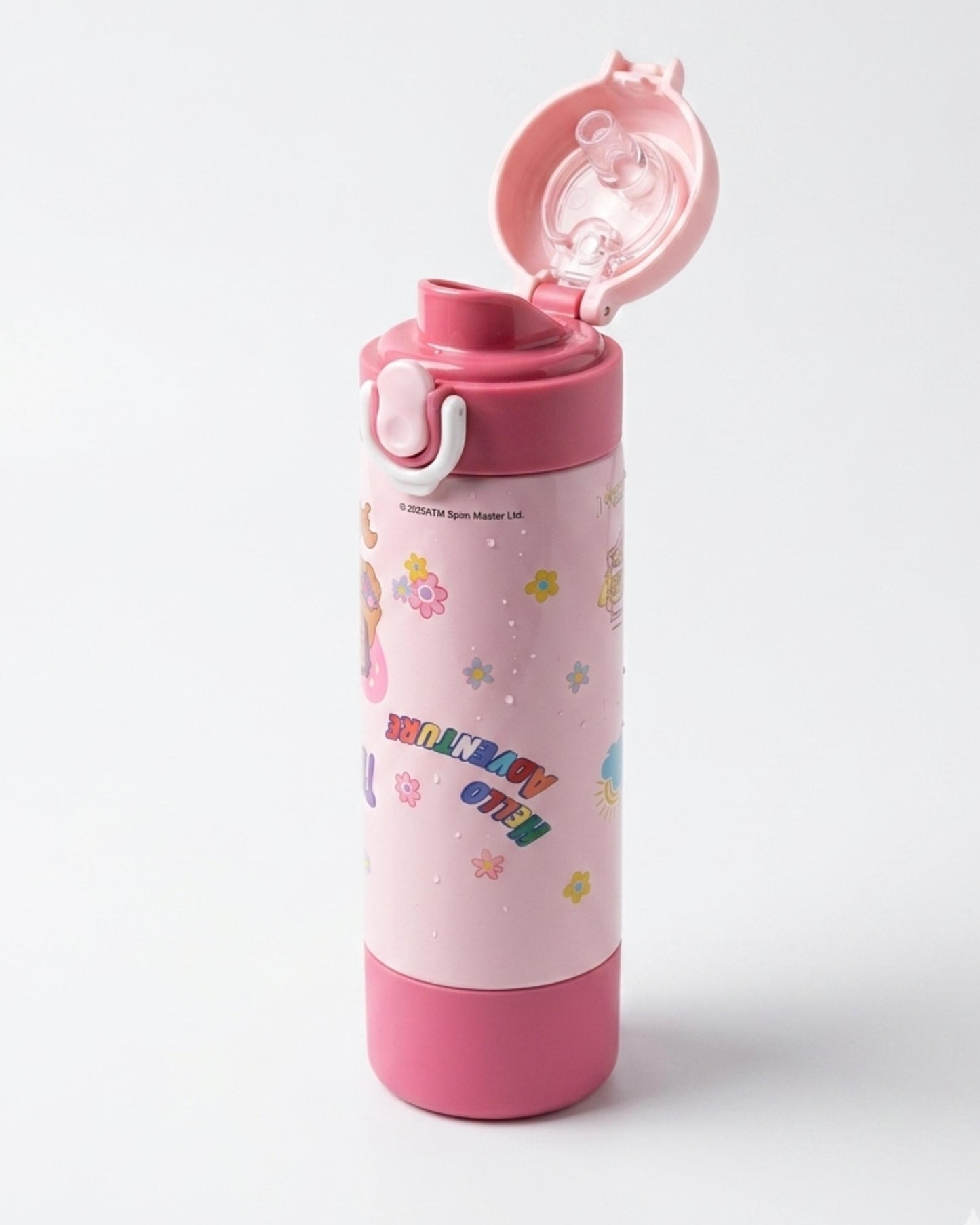 Paw patrol sky stainless steel water bottle