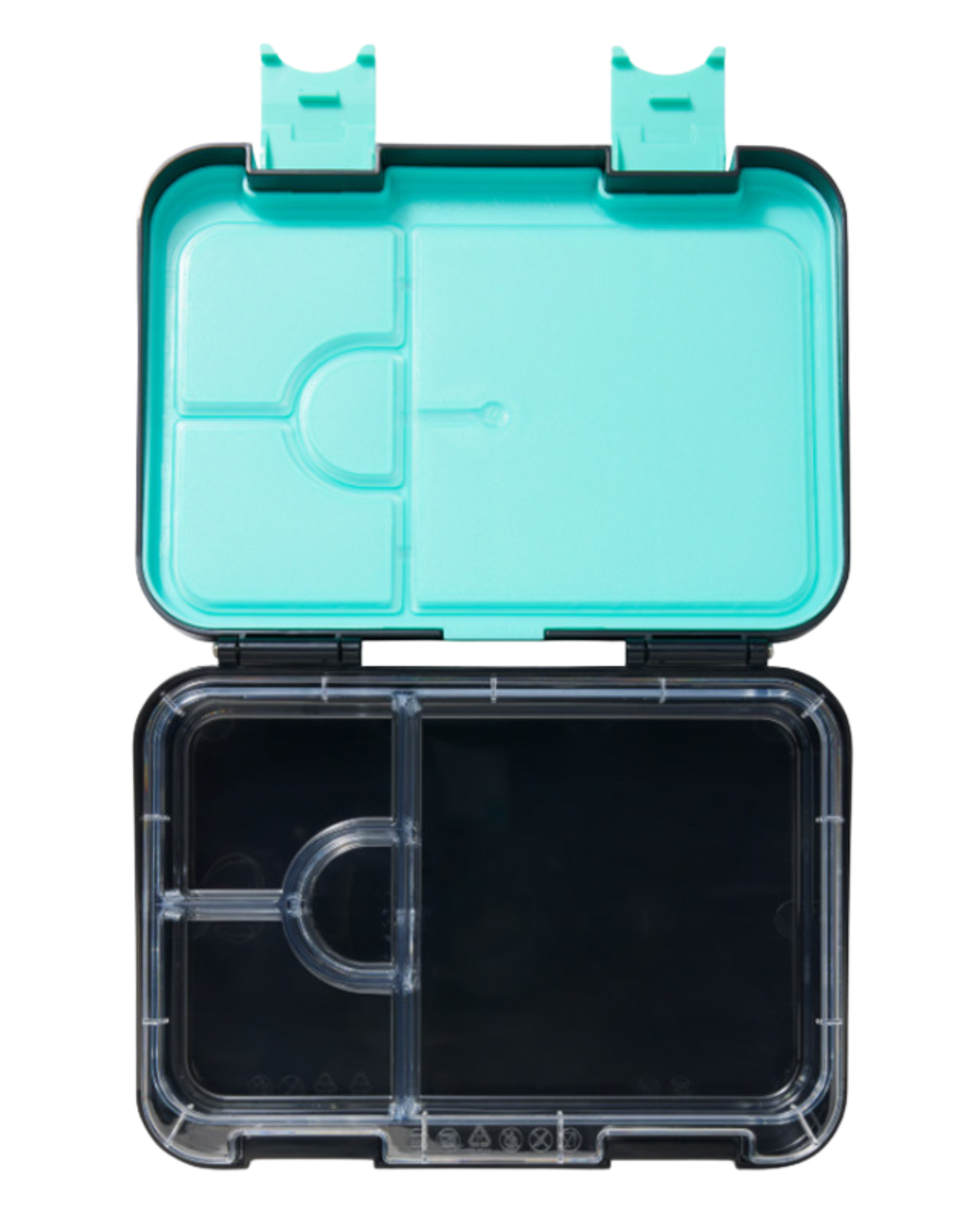 BLACK Cat Medium Bento Lunchbox