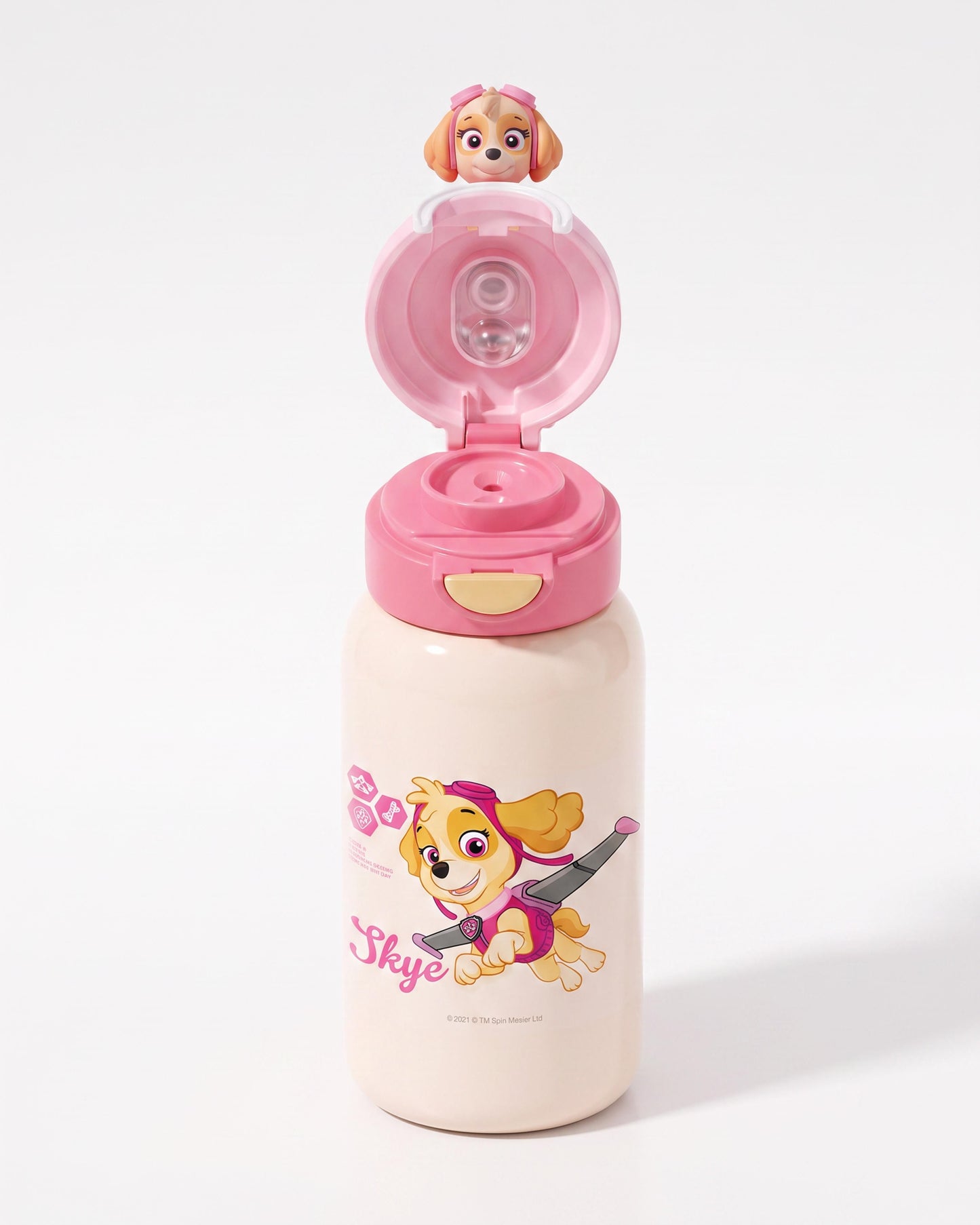 Paw patrol sky stainless steel water bottle