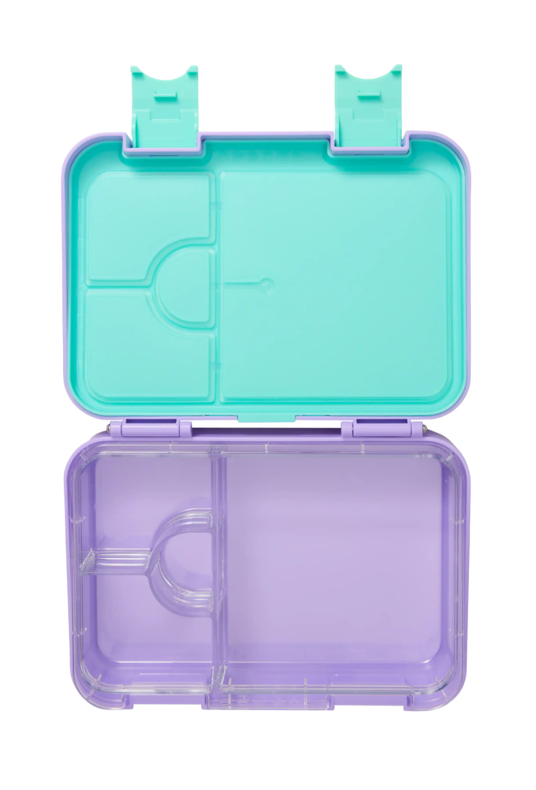 Adventurous Medium Bento Lunchbox