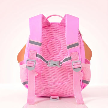 Paw patrol sky  kindergarten backpack