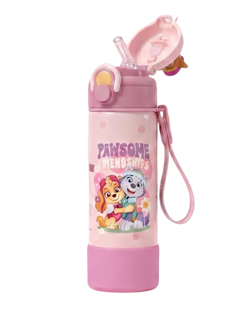 Paw patrol sky stainless steel water bottle