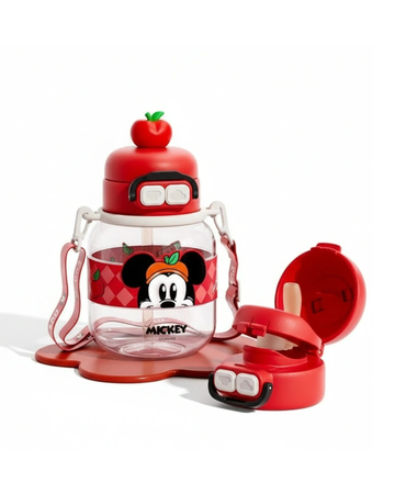 Disney Minnie mouse water bottle