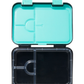 BLACK Cat Medium Bento Lunchbox