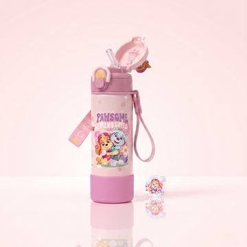 Paw patrol sky stainless steel water bottle