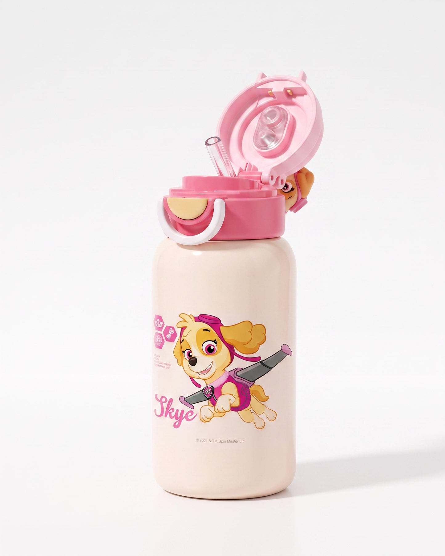 Paw patrol sky stainless steel water bottle