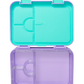Adventurous Medium Bento Lunchbox