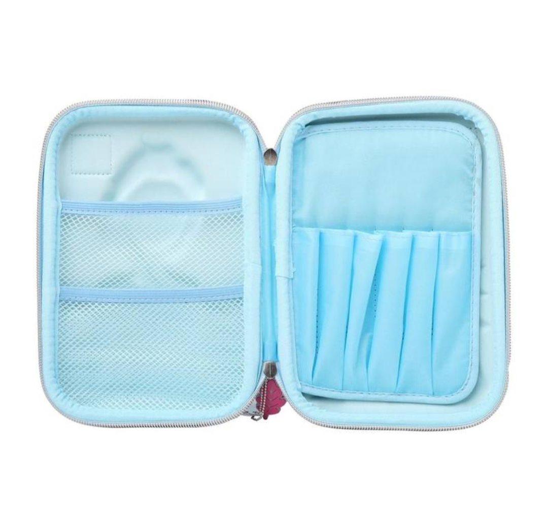Frozen Hardtop Pencil Case